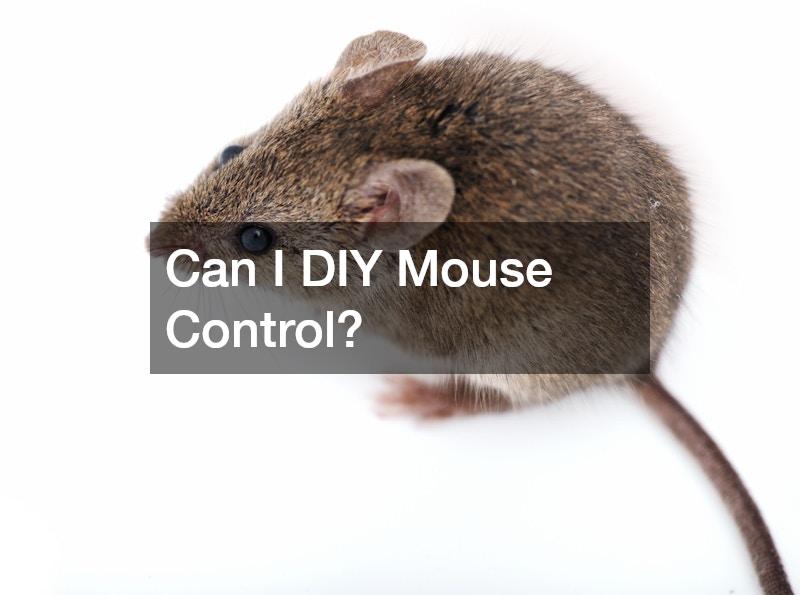 Can I DIY Mouse Control?